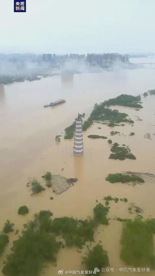 鸭绿江洪水纪实，实测记录以来的巅峰水位