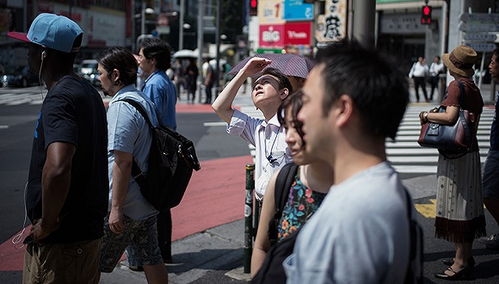 日本东京都大规模疑似中暑死亡事件分析