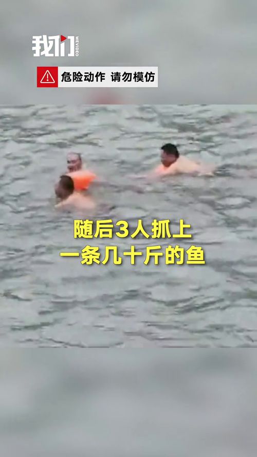 水库泄洪口惊魂，男子抓鱼不幸身亡的悲剧