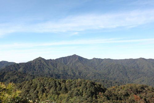 哀牢山景区安全警示，守护游客安全，共创和谐旅游环境