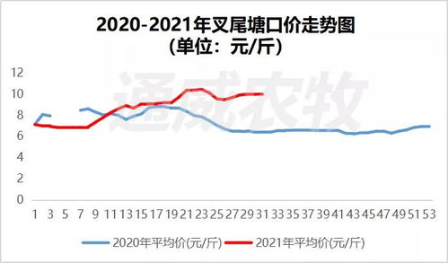 揭秘武汉燃油价格波动背后的市场逻辑，疫情、政策与市民生活