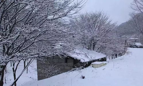 兰州雪乱记，城市如何应对大雪纷飞的挑战