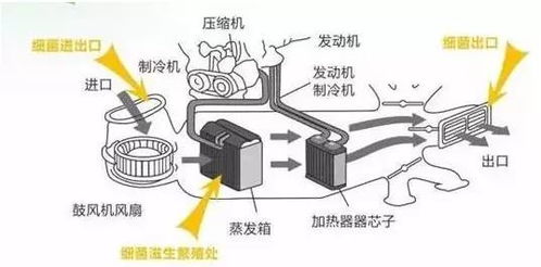 发动机的健康密码，维护保养的重要性