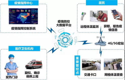 天水疫情，最新数据解读与防控措施分析