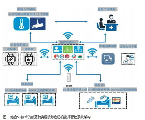 天水疫情，最新数据解读与防控措施分析