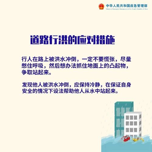 福建封城，疫情下的挑战与应对策略