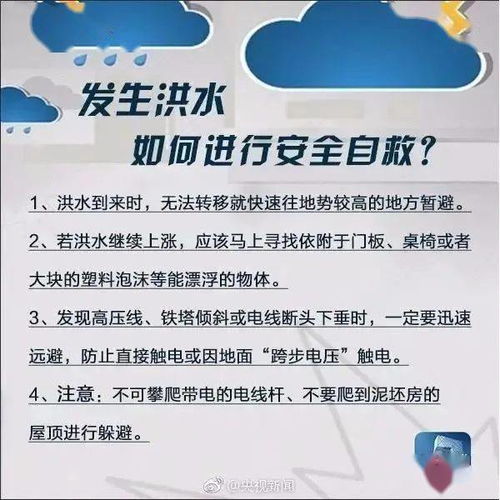 端午出行指南，高速免费政策解读与出行建议