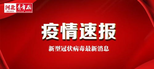 河北保定疫情新动态，新增1例确诊病例的启示与应对