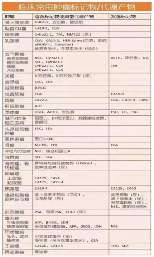 深入了解发动机品牌，全面解析品牌大全及价格表