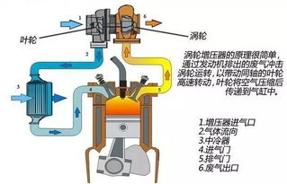 揭开发动机的神秘面纱，从基本原理到日常应用