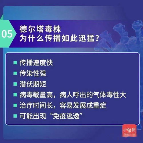 郑州144号通告，疫情管控新动态与市民生活指南