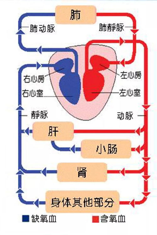 发动机维护，保持心脏跳动的关键步骤