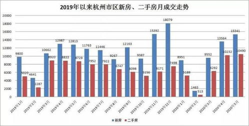 杭州城西银泰疫情，应对策略与生活启示