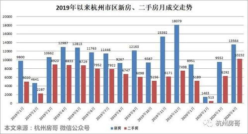 杭州城西银泰疫情，应对策略与生活启示