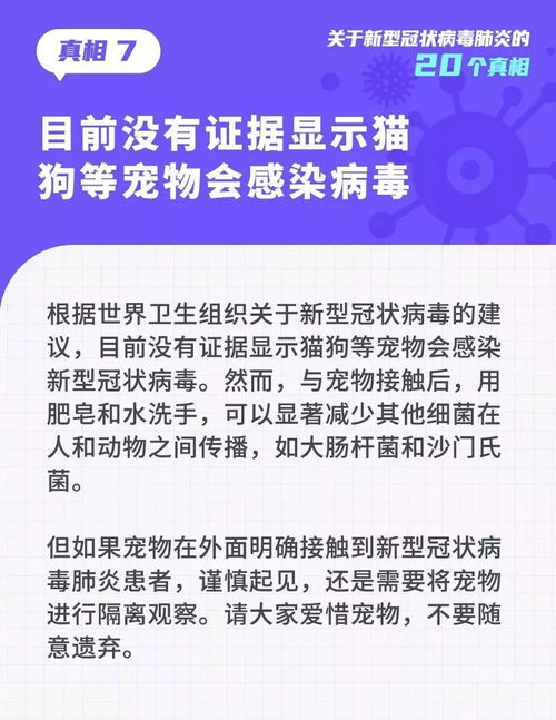 河南疫情新动态，新增本土确诊26例的应对与防护指南