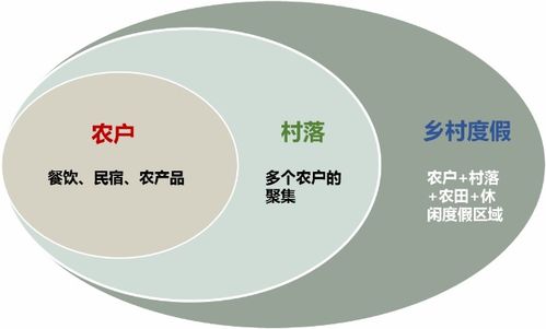 深入解析，发动机技术的历史演变与未来趋势