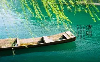 清明时节雨纷纷，高速公路免费行—如何充分利用清明节假期的免费政策