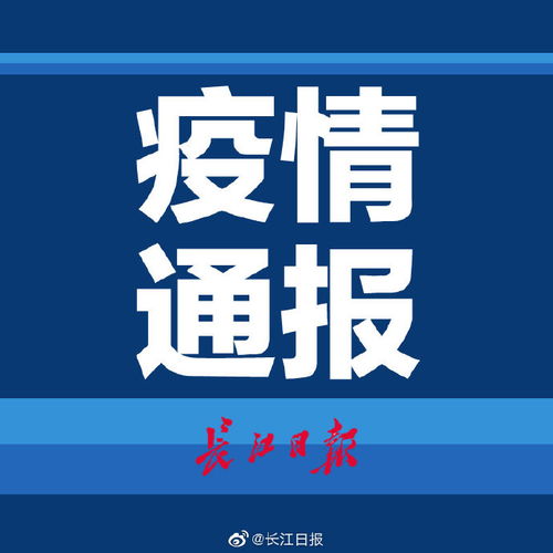 中国31省份新增确诊病例22例，疫情动态分析与防控策略